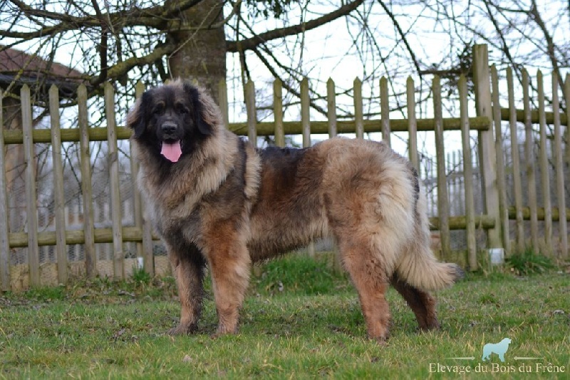 Hindra kinnley du chemin de dolimon