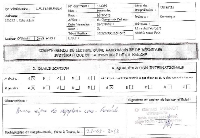 du chemin de dolimon - Résultats Dysplasie de GORDON