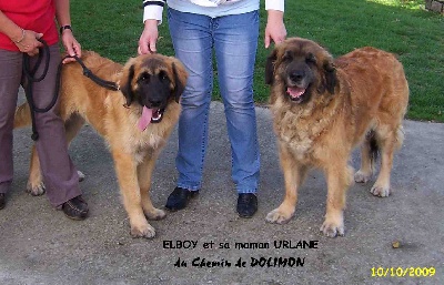 du chemin de dolimon - ELBOY en visite.